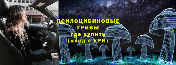 стаф Абаза