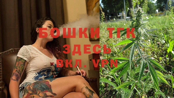 стаф Абаза