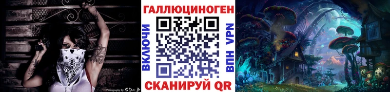 дарнет шоп  Новопавловск  Псилоцибиновые грибы мицелий 